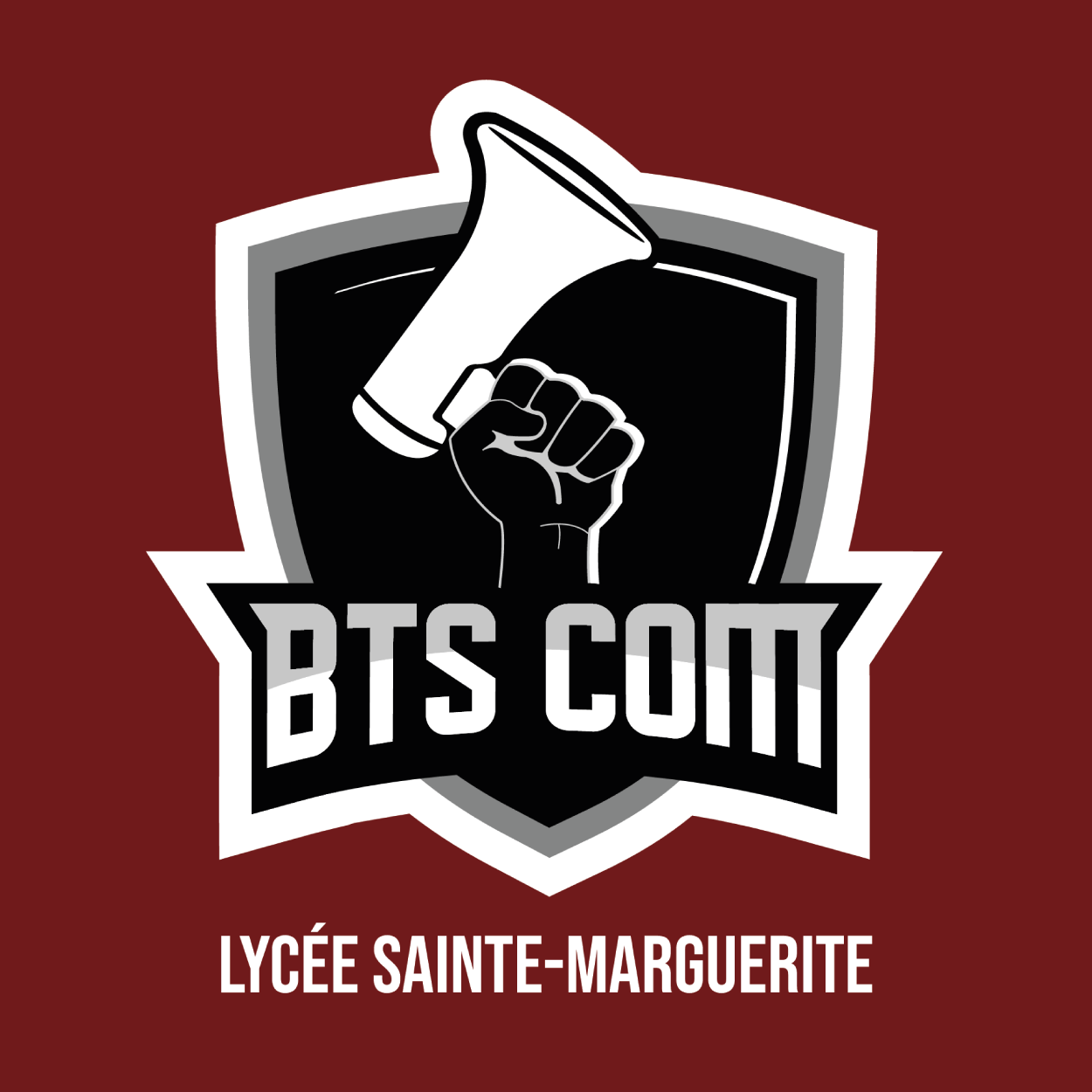 Logo du BTS Communication du Lycée Sainte-Marguerite, projet portfolio Ludovic Chauvet